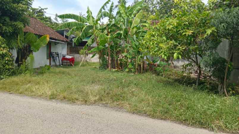 dijual tanah bantul