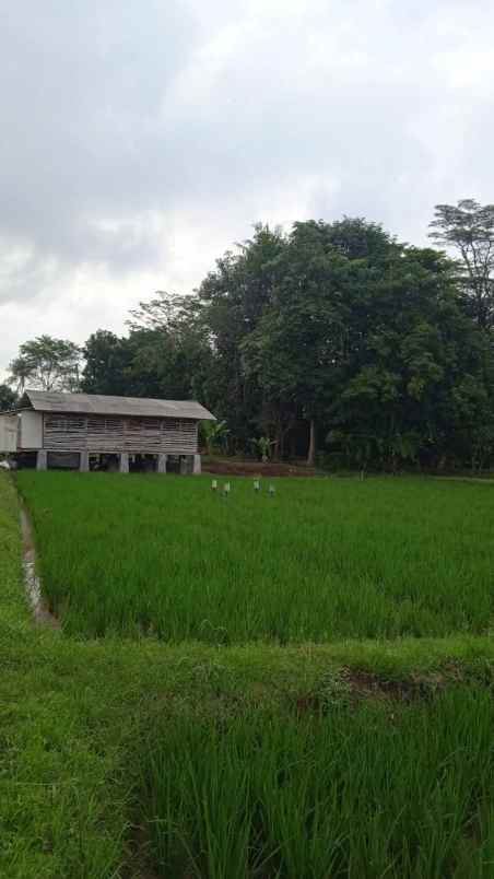 dijual tanah belendung