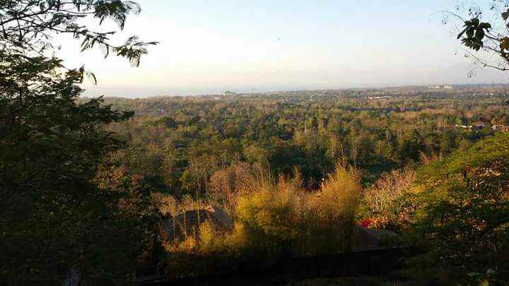 dijual tanah bingin pecatu bali