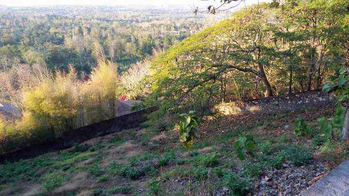 dijual tanah bingin pecatu bali