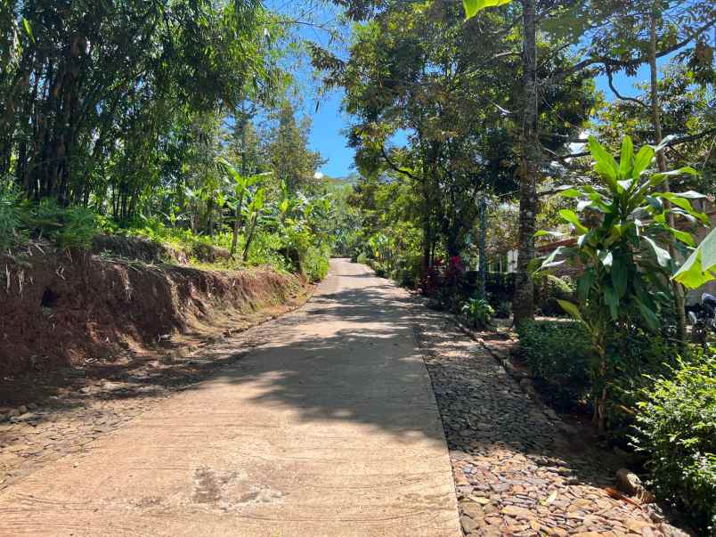 dijual tanah bonus kebun durian mojogedang karanganyar