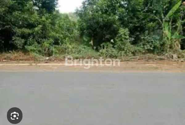 dijual tanah cikumurang subang