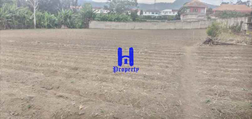 dijual tanah daerah karo jalan kebun