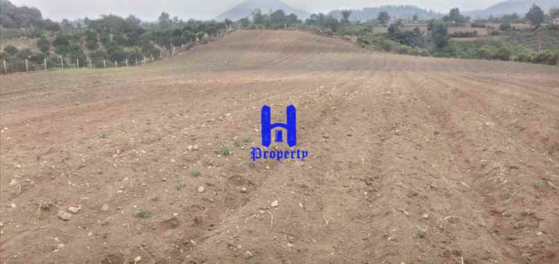 dijual tanah daerah karo jalan kebun