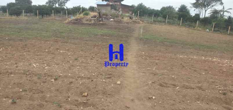 dijual tanah daerah karo jalan kebun