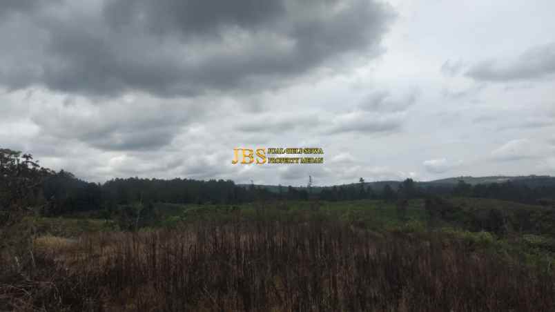 dijual tanah desa ajinembah kec merek