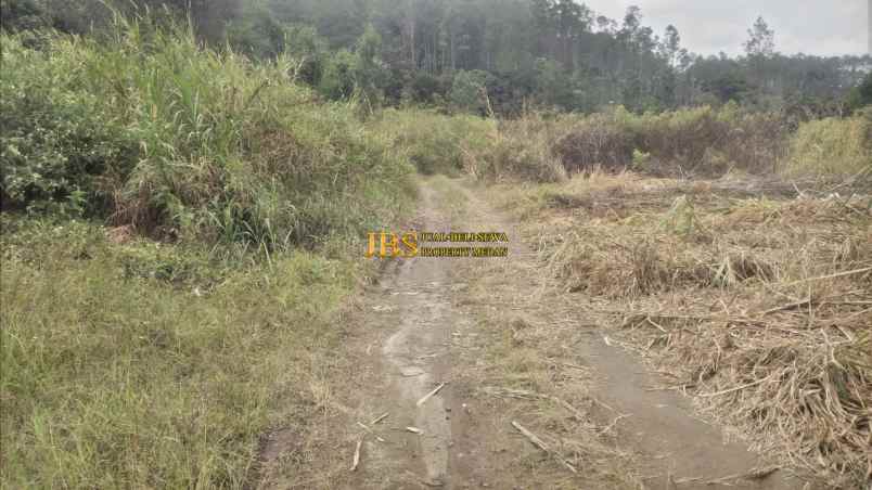 dijual tanah desa ajinembah kec merek