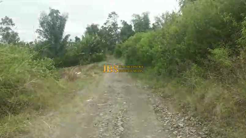 dijual tanah desa ajinembah kec merek