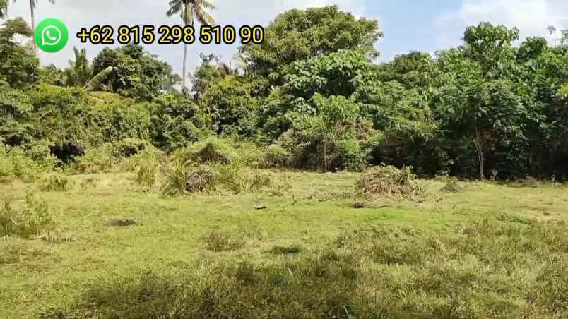 dijual tanah desa bengkel sari