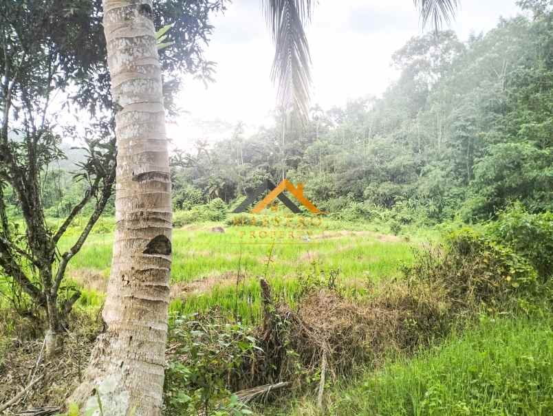 dijual tanah desa bengkurung jalan