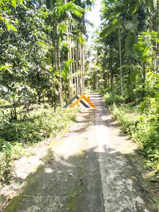 dijual tanah desa bengkurung jalan