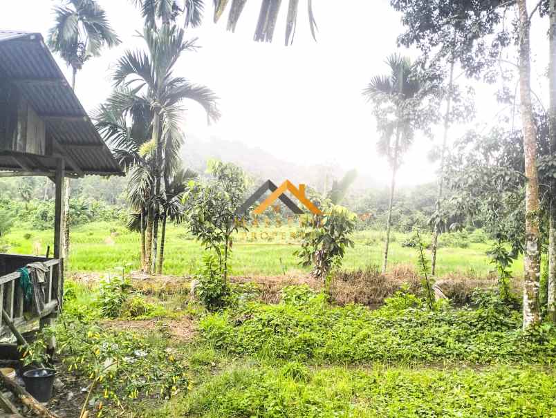 dijual tanah desa bengkurung jalan