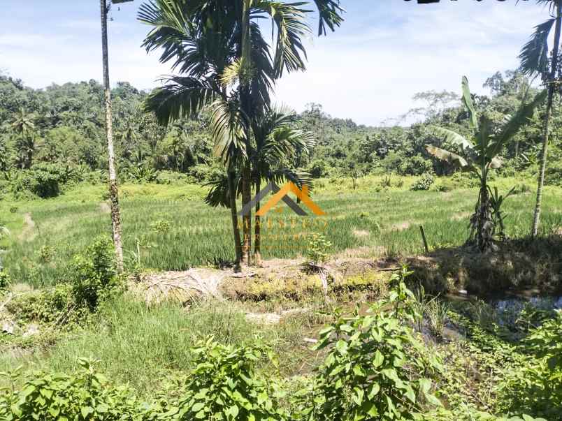 dijual tanah desa bengkurung jalan