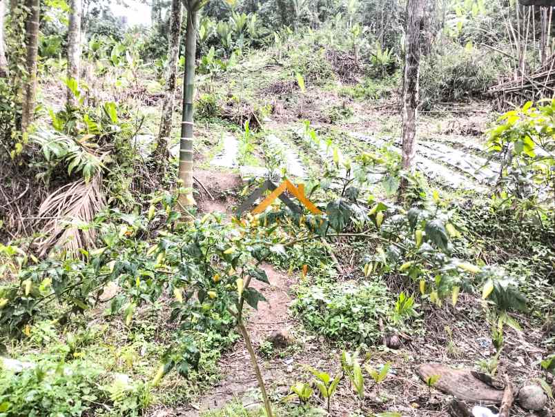 dijual tanah desa bengkurung jalan