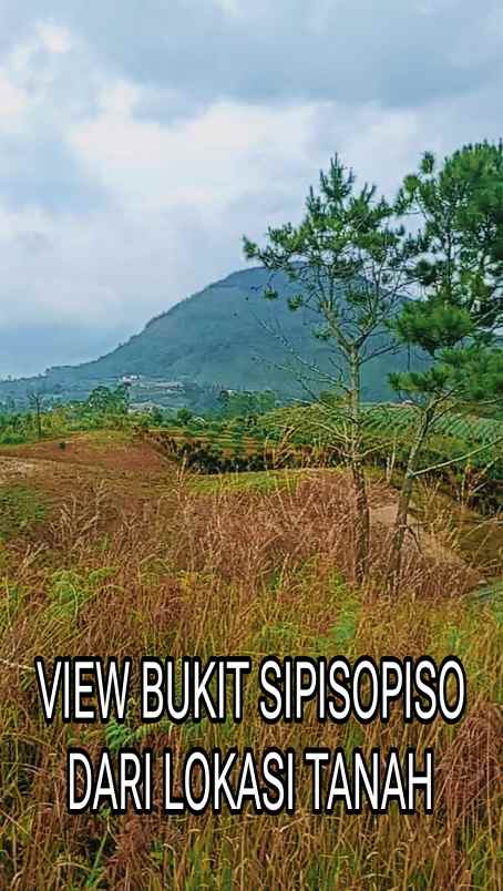dijual tanah desa pangambatan merek