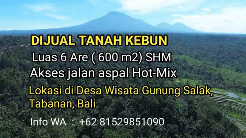 dijual tanah desa wisata gunung salak