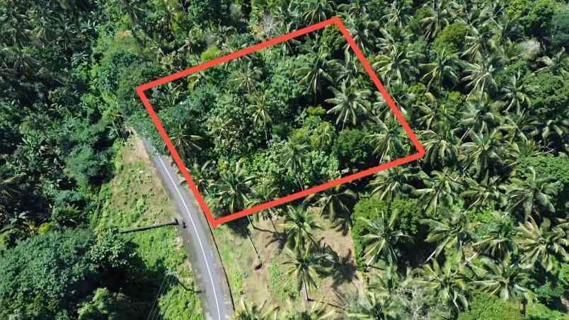 dijual tanah desa wisata gunung salak