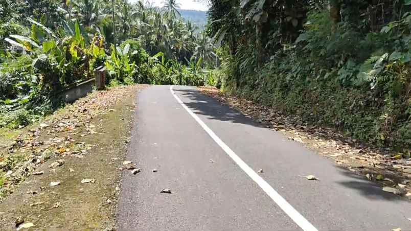 dijual tanah desa wisata gunung salak