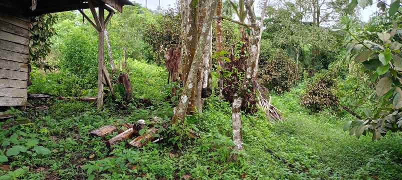 dijual tanah di bandar baru sibolangit o8i37747oioo
