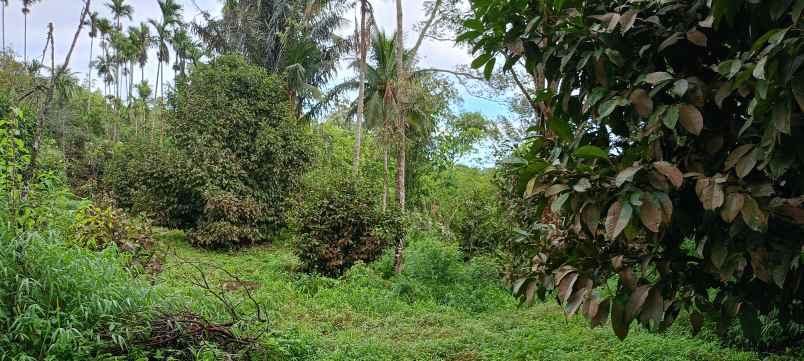 dijual tanah di bandar baru sibolangit o8i37747oioo