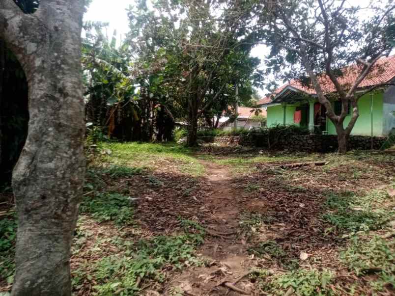 dijual tanah di desa parungpanjang kab bogor
