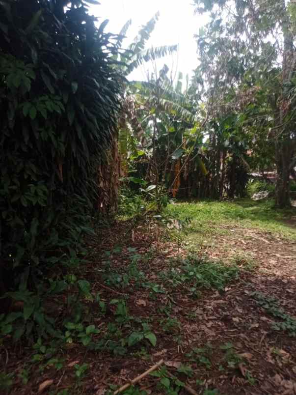 dijual tanah di desa parungpanjang kab bogor