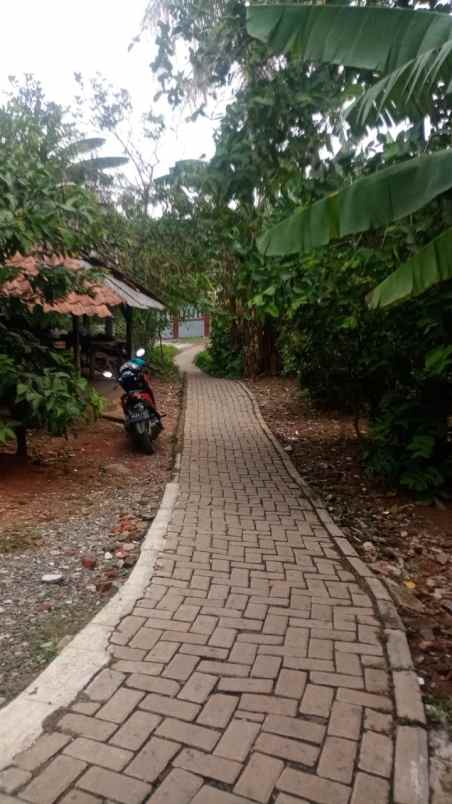 dijual tanah di desa parungpanjang kab bogor