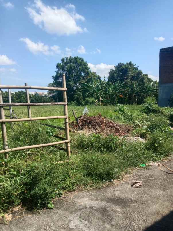 dijual tanah di mataram kelurahan dekat kampus uin