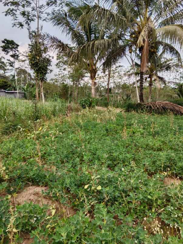 dijual tanah di pagelaran kabupaten malang