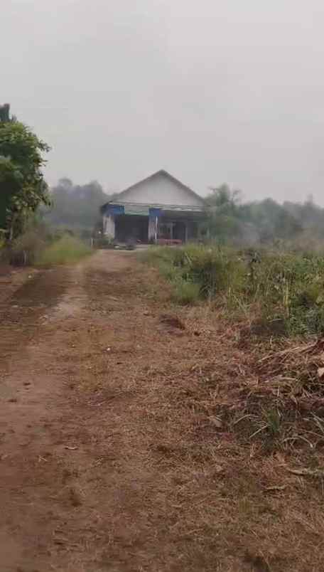 dijual tanah dijual tanah cepat di jln