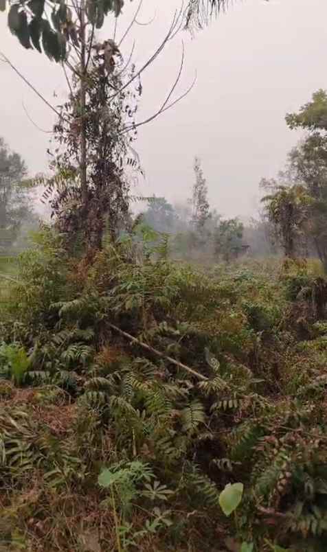 dijual tanah dijual tanah cepat di jln