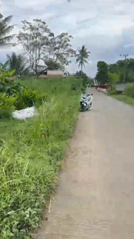 dijual tanah dijual tanah di depan smpn