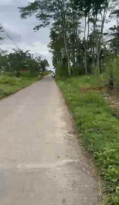 dijual tanah dijual tanah di depan smpn