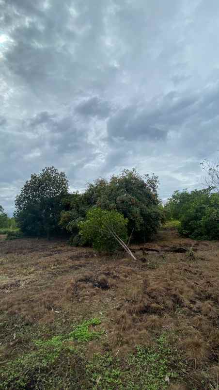 dijual tanah dijual tanah di jalan
