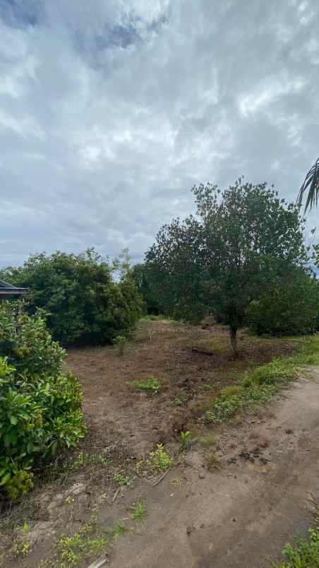 dijual tanah dijual tanah di jalan
