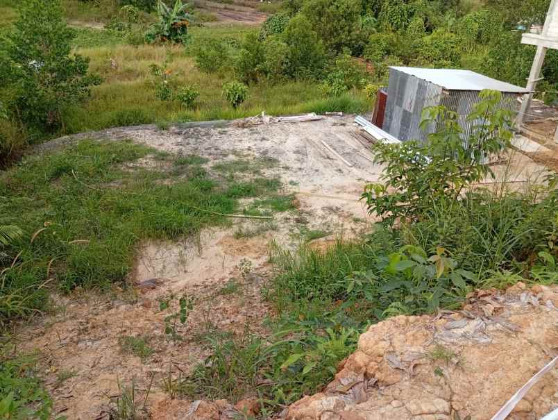 dijual tanah dijual tanah di jl prona