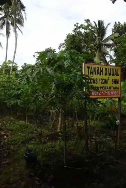 dijual tanah dijual tanah di perumahan