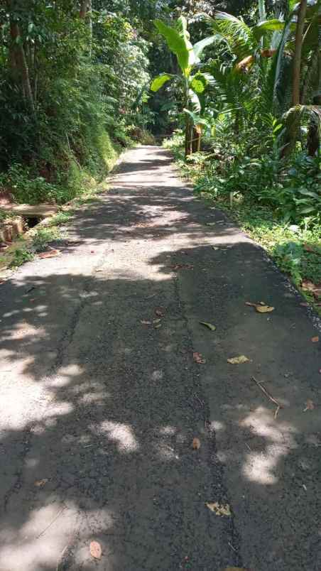 dijual tanah dijual tanah di tamansari