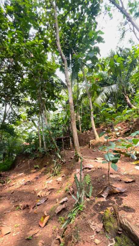 dijual tanah dijual tanah di tamansari