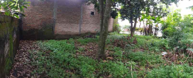 dijual tanah dijual tanah di wiroragen