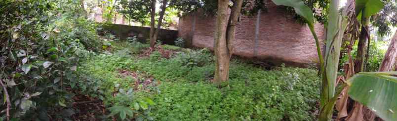 dijual tanah dijual tanah di wiroragen