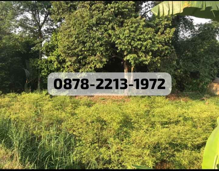 dijual tanah dramaga bogor