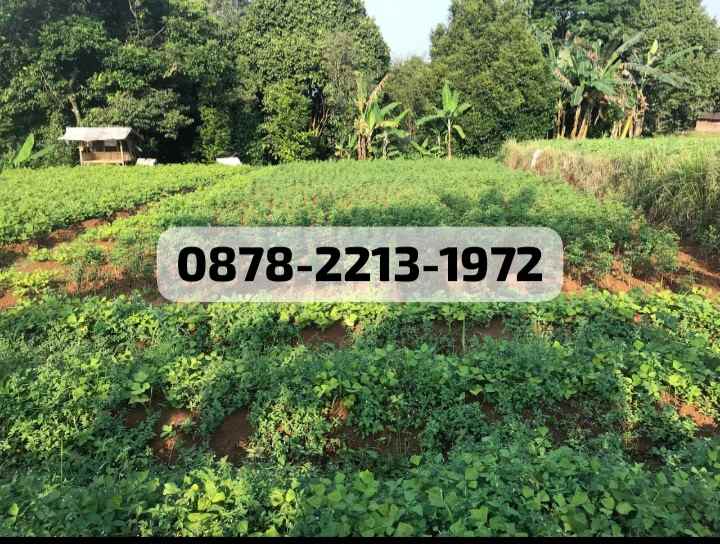 dijual tanah dramaga bogor