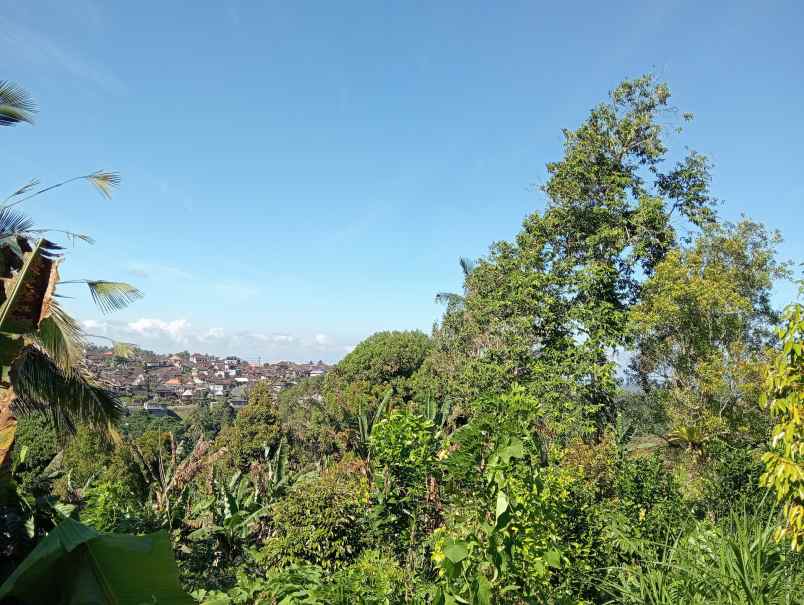 dijual tanah ds sanda kec pupuan