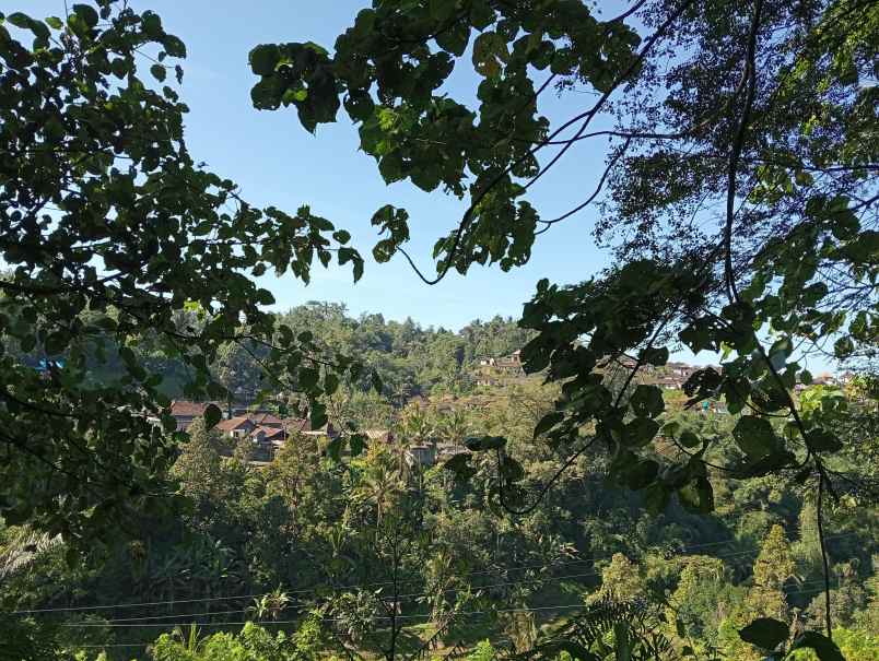 dijual tanah ds sanda kec pupuan