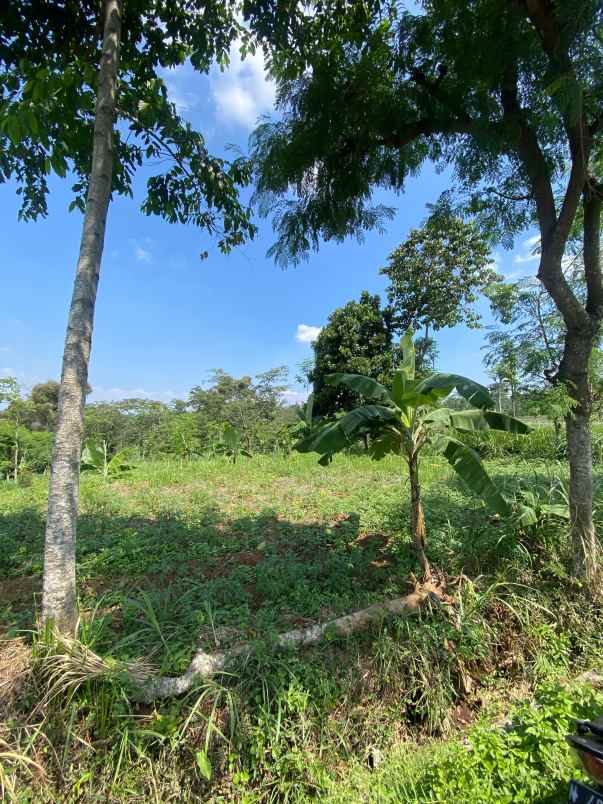 dijual tanah gajahrejo