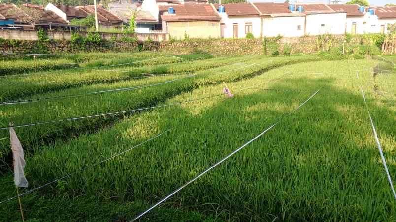 dijual tanah jagabaya