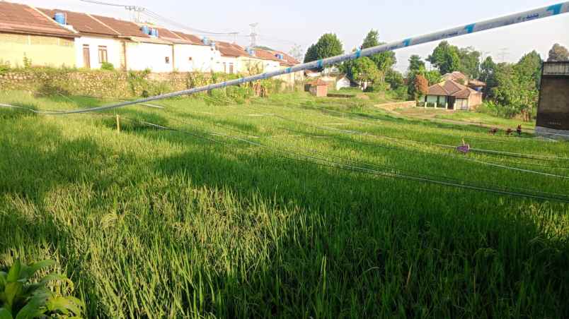 dijual tanah jagabaya