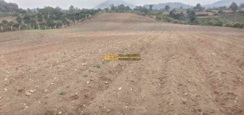 dijual tanah jalan kebun bunga dolat