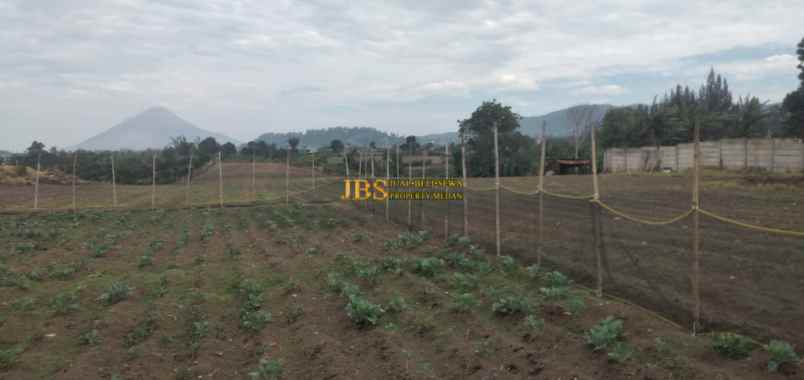 dijual tanah jalan kebun bunga dolat